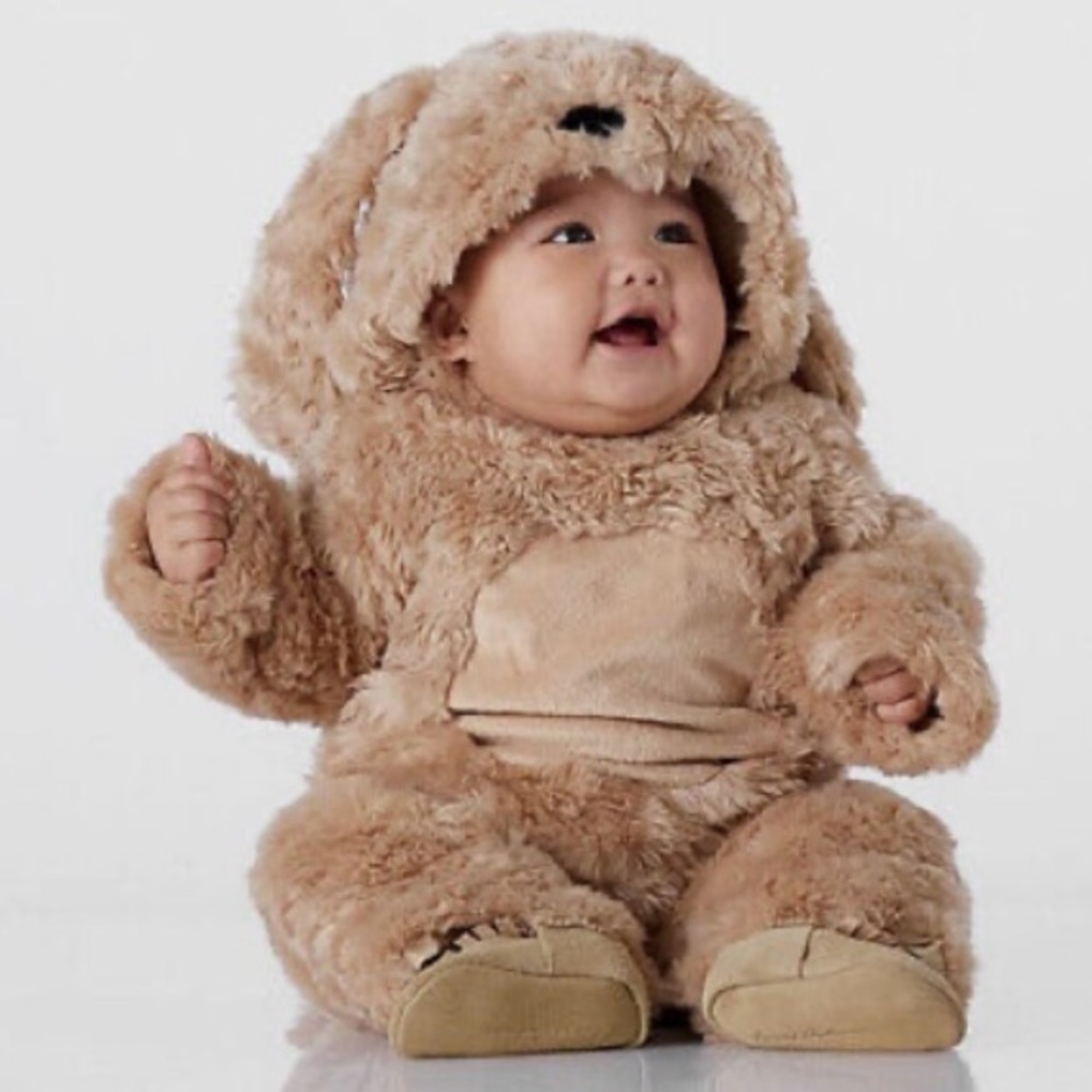 Potty Barn Puppy Dog Costume for Baby Size 6-12 months